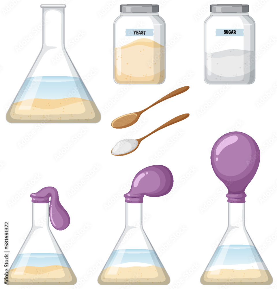 Yeast respiration science experiment