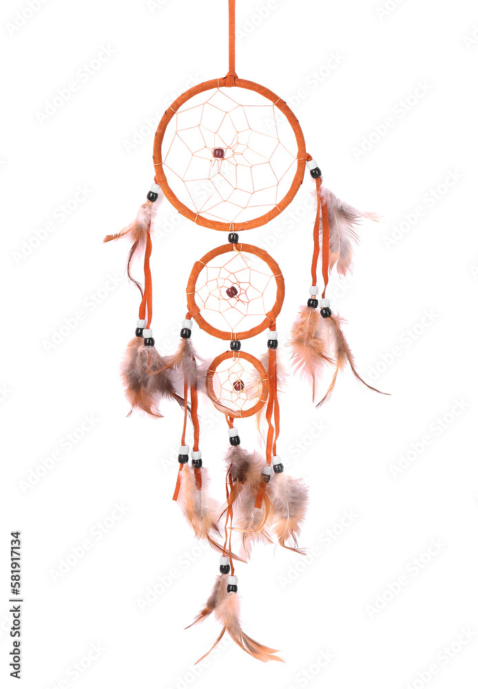 Beautiful dreamcatcher on white background