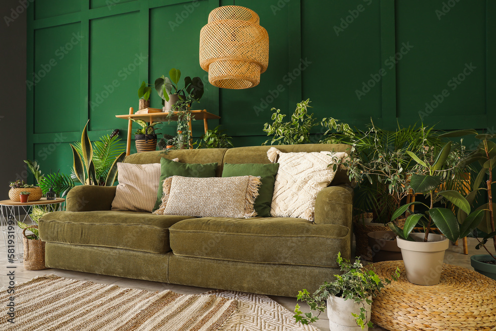 Interior of living room with green sofa and houseplants