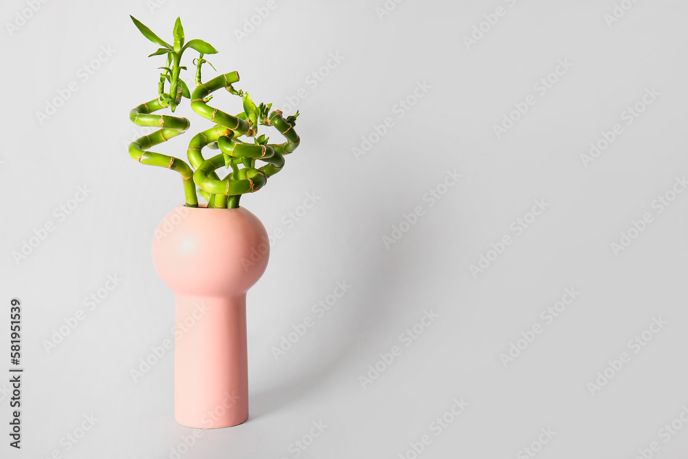 Vase with bamboo plant on grey background