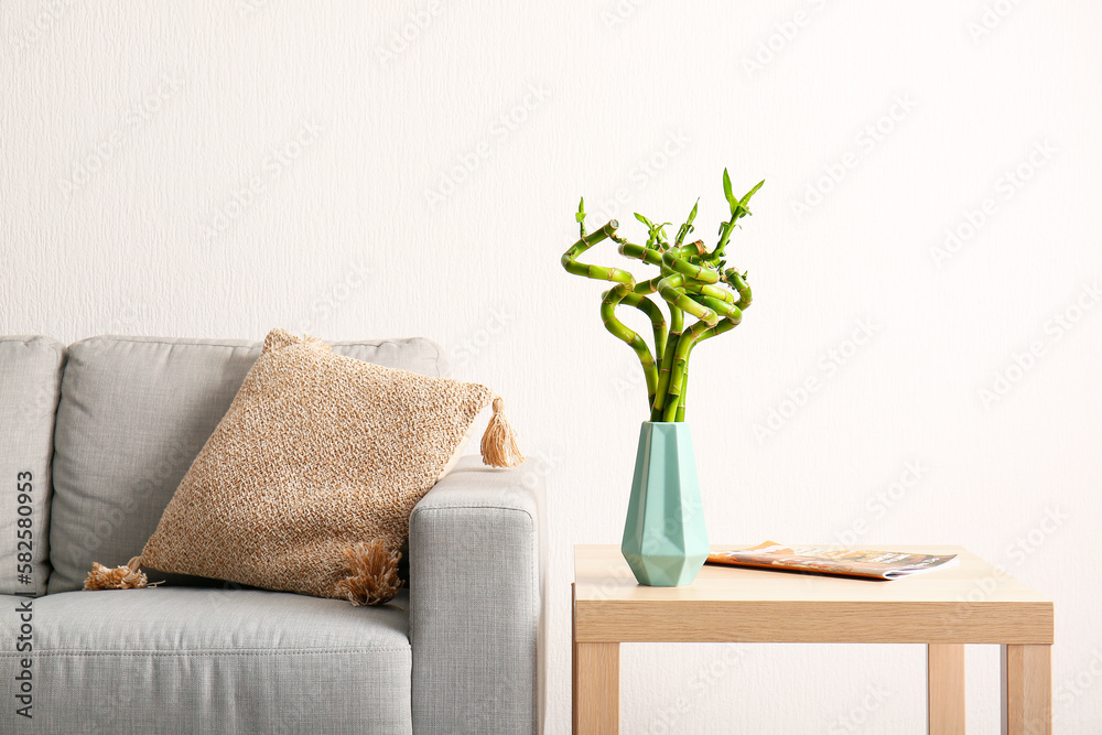 Sofa and vase with bamboo plant on table near white wall