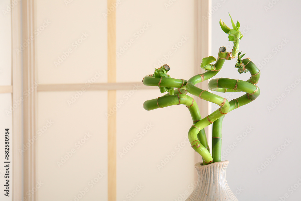 Vase with bamboo plant and folding screen near grey wall, closeup