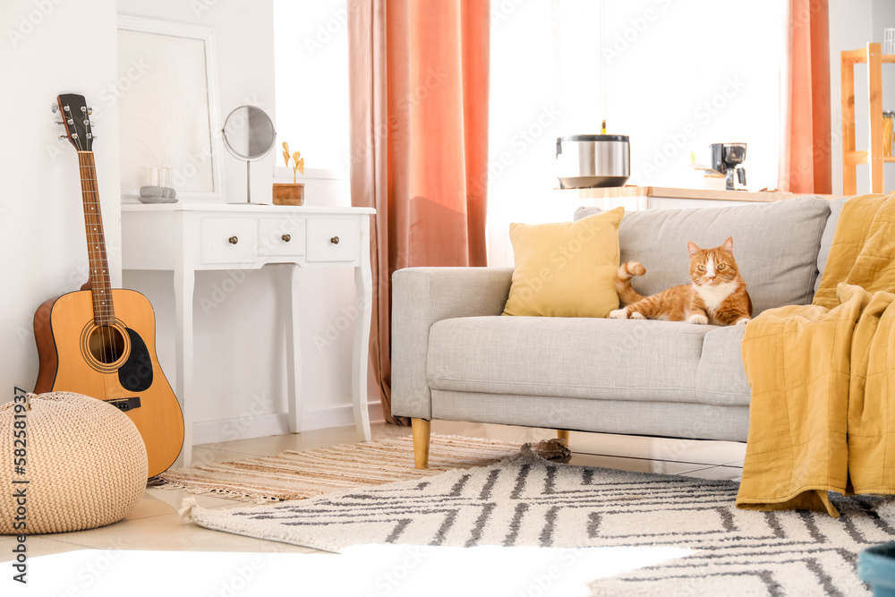 Cute red cat lying on grey couch at home