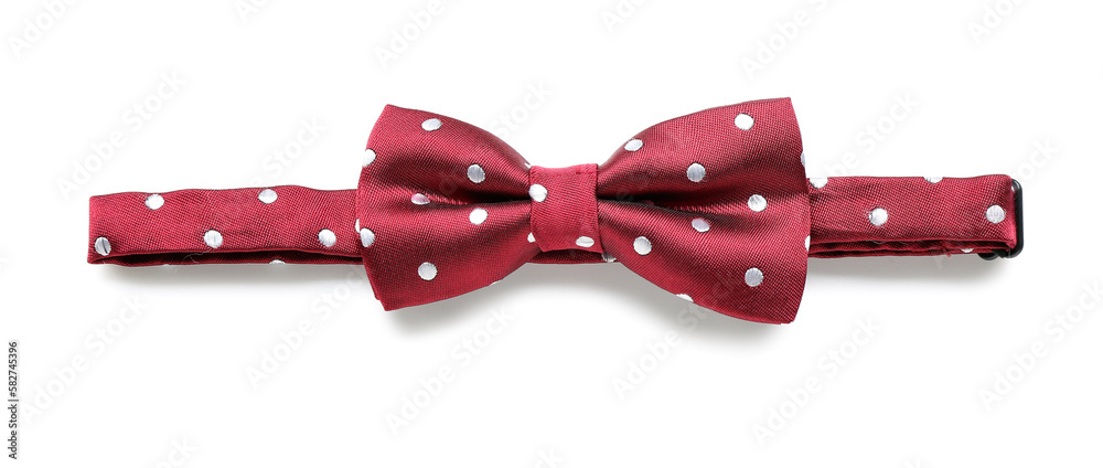 Stylish bow tie isolated on white background