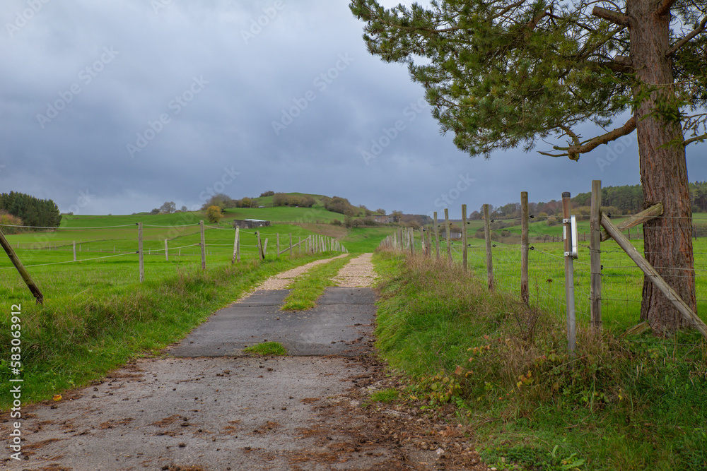 Historical Pilgrims trail with german countryside landscape In Lampertstal und Alendorfer Kalktrifte