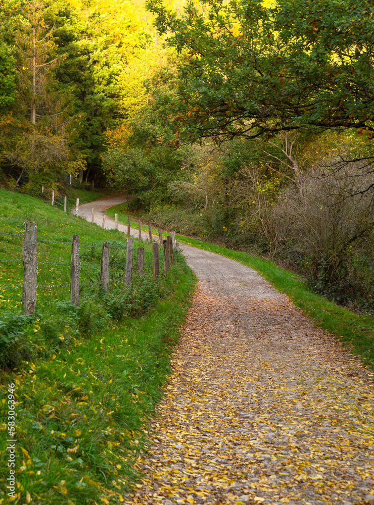 Historical Pilgrims trail with german countryside landscape In Lampertstal und Alendorfer Kalktrifte