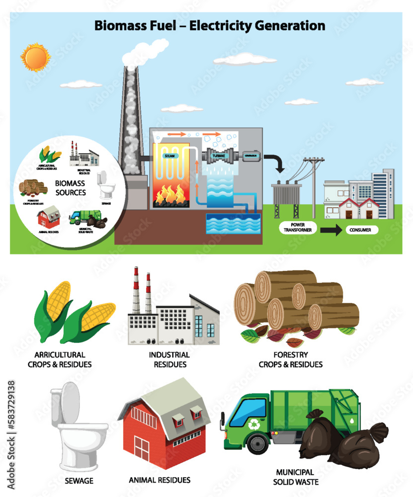 Biomass Fuel Electricity Generation Diagram