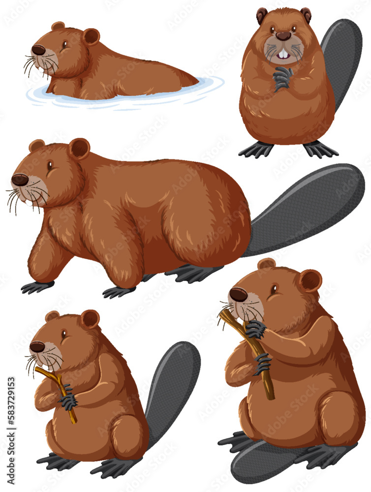 Cute Cartoon Beaver Collection