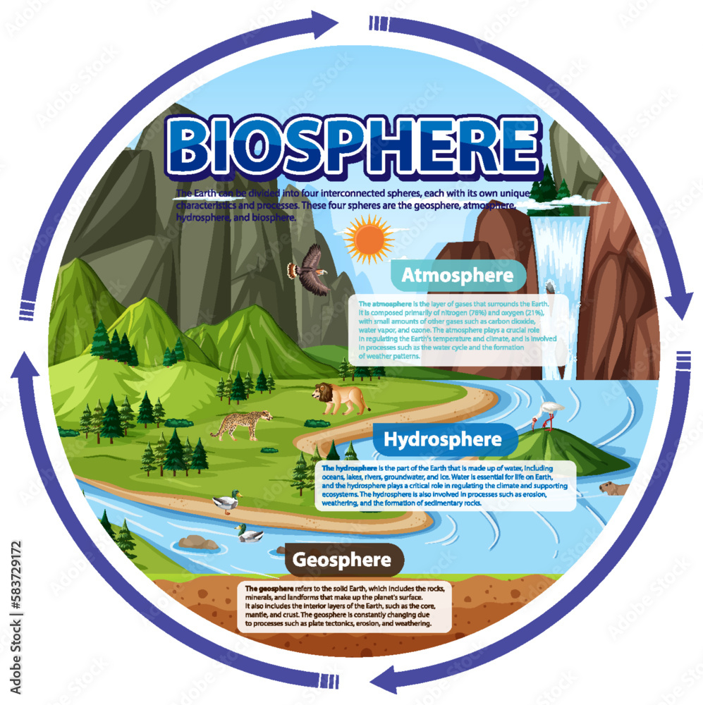 Biosphere Ecology Infographic for Learning