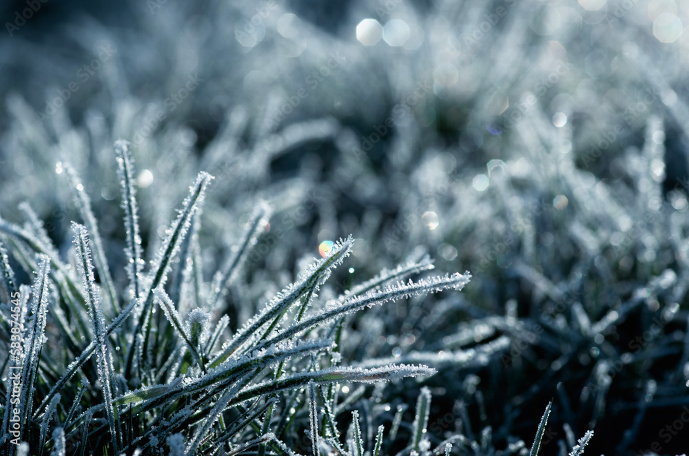 Frost on the grass background