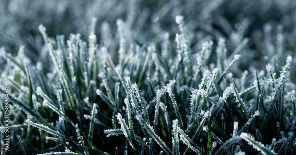 Winter background, morning frost in the grass