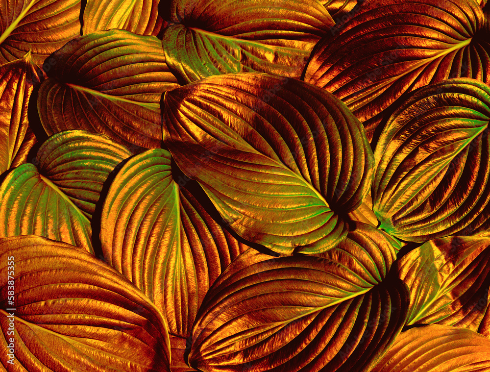 Abstract golden leaves texture