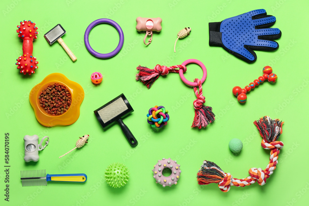 Set of pet care accessories and toys on green background