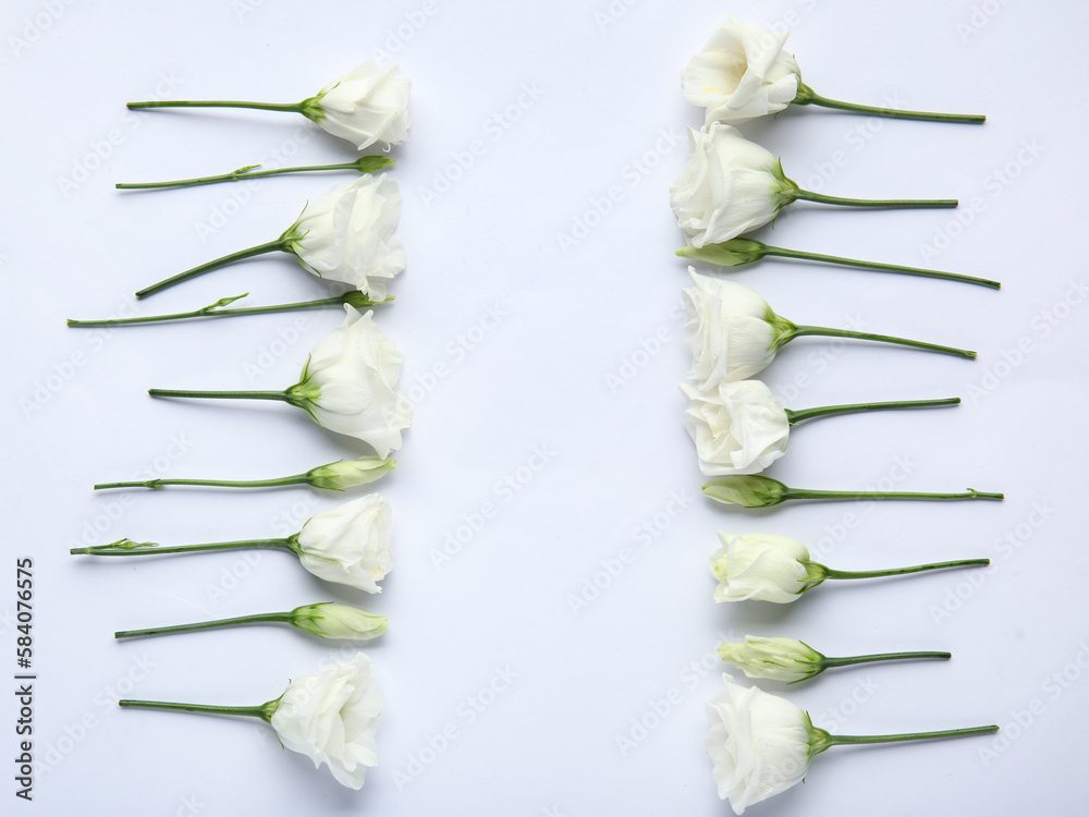 Composition with beautiful eustoma flowers on light background