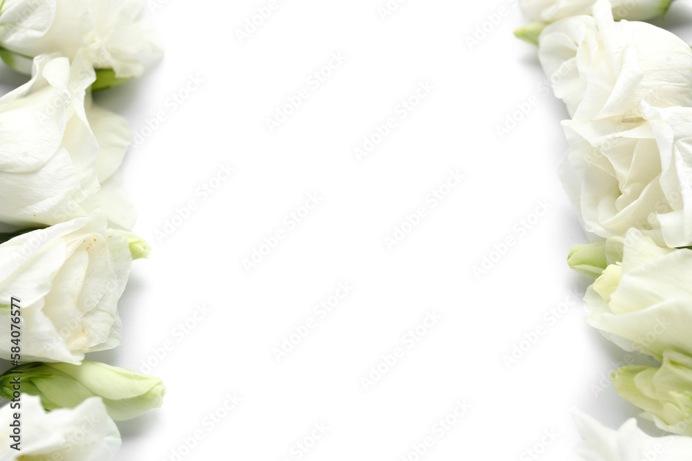 Composition with beautiful eustoma flowers on white background, closeup