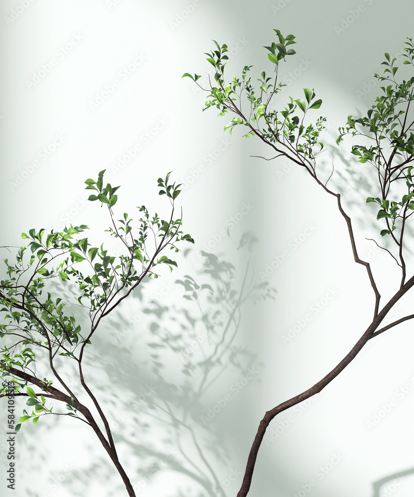 Tropical tree branch in dappled sunlight, leaf shadow on blank pastel turquoise blue green wall for 