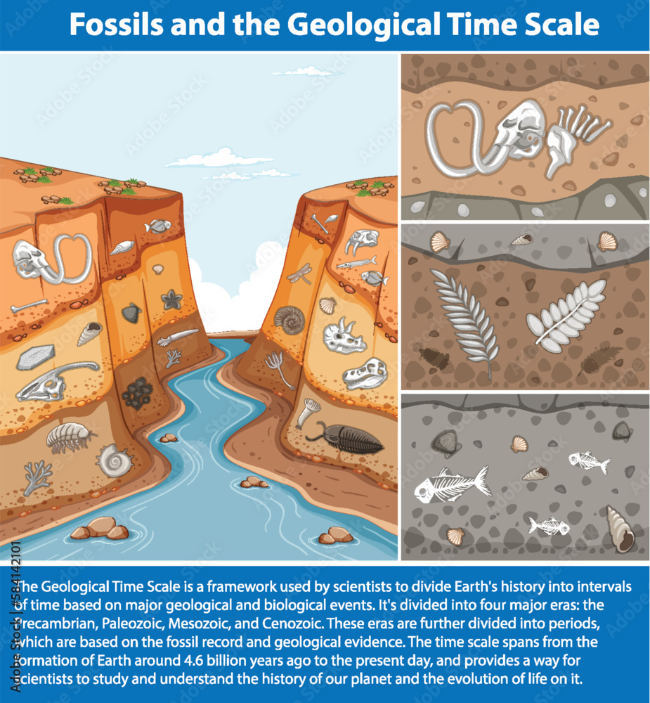 Fossils and the Geological Time Scale