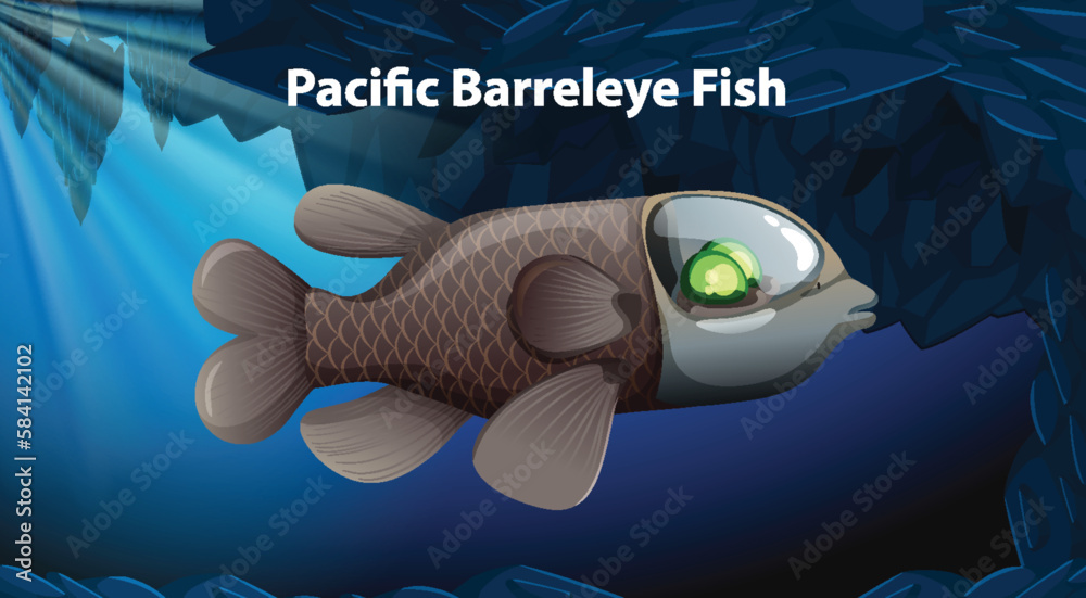 Pacific Barreleye Fish Vector Design