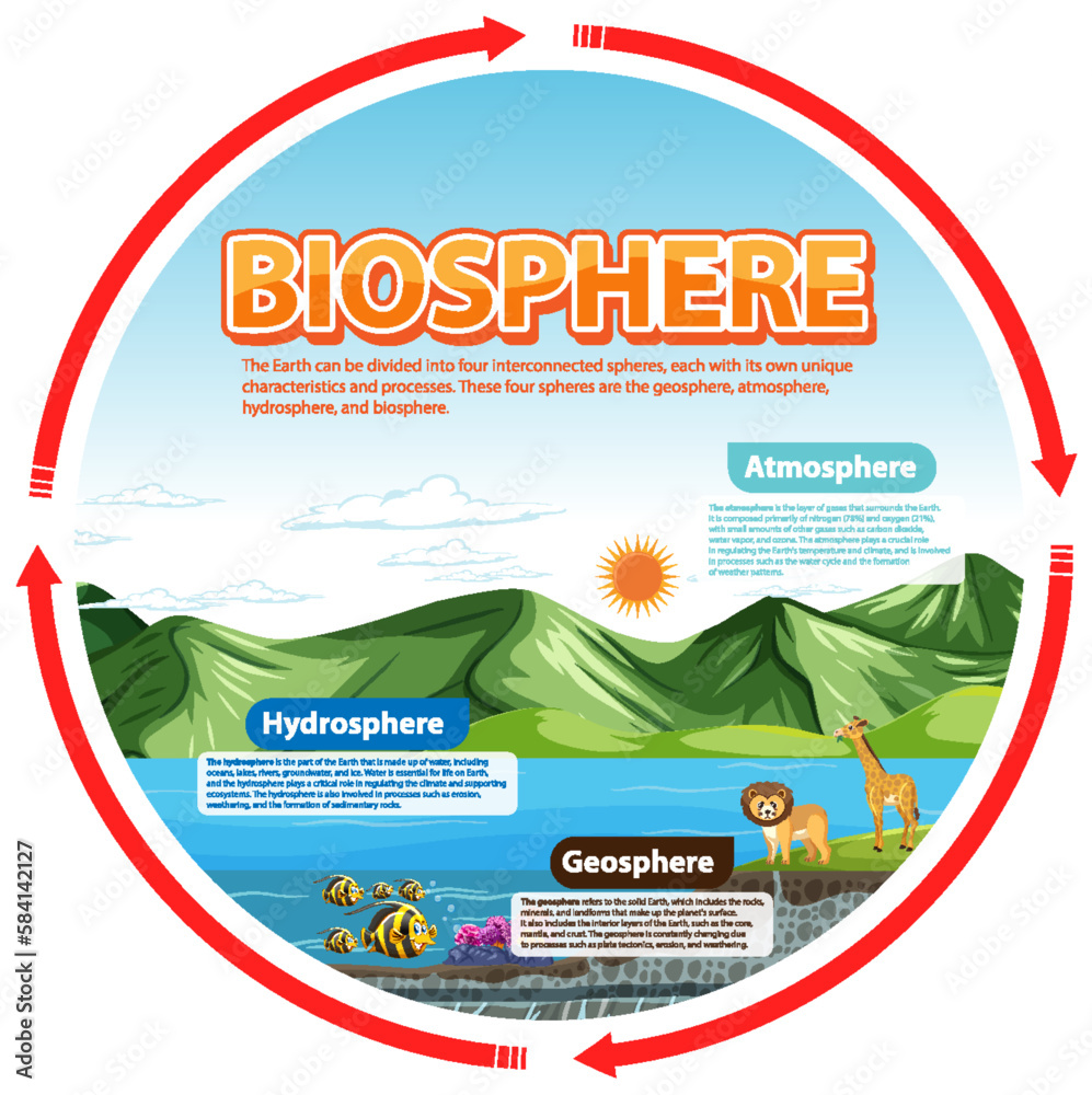 Biosphere Ecology Infographic for Learning