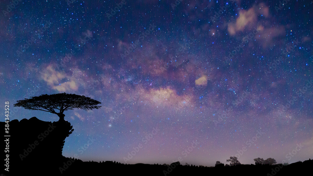 Tree silhouette on a milky way background.