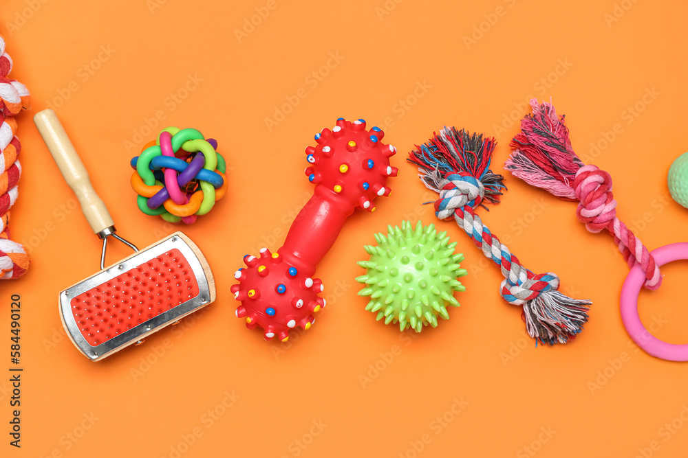 Set of different pet toys and grooming brush on color background