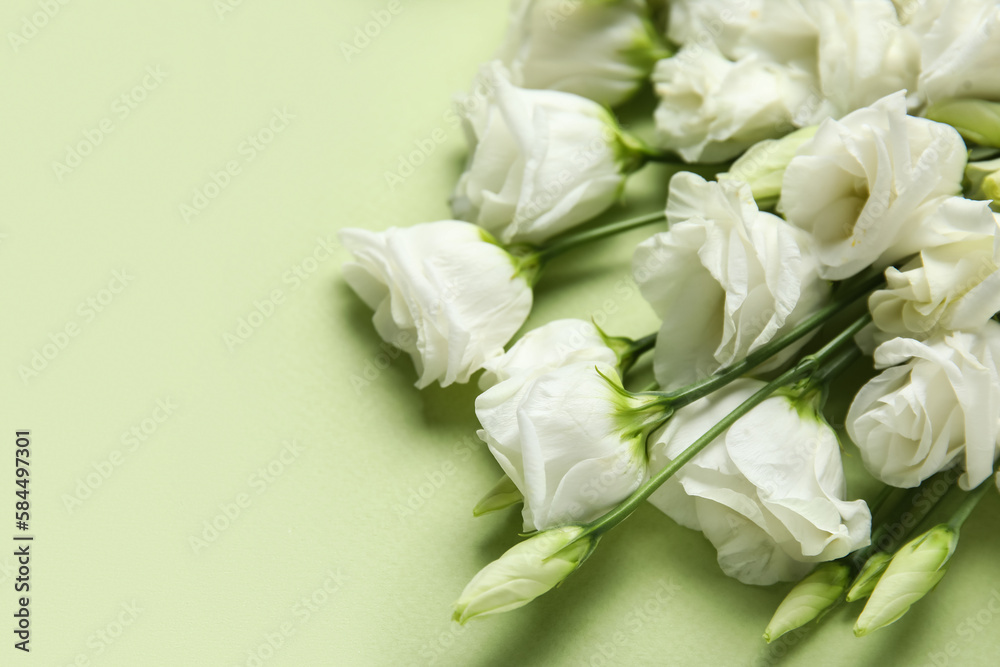 White eustoma flowers on green background, closeup