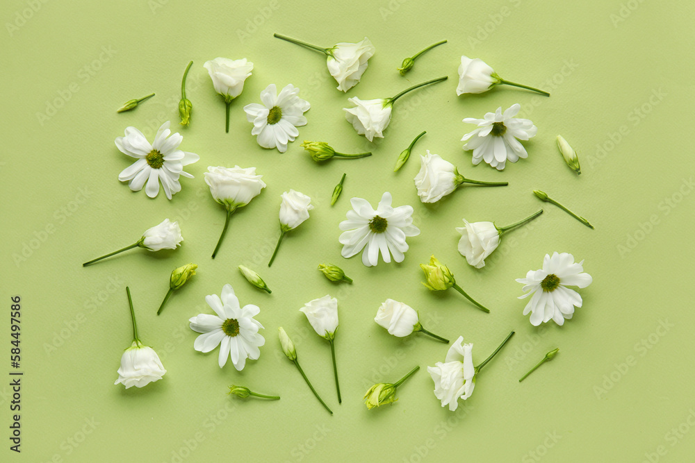 Composition with beautiful eustoma and chamomile flowers on green background