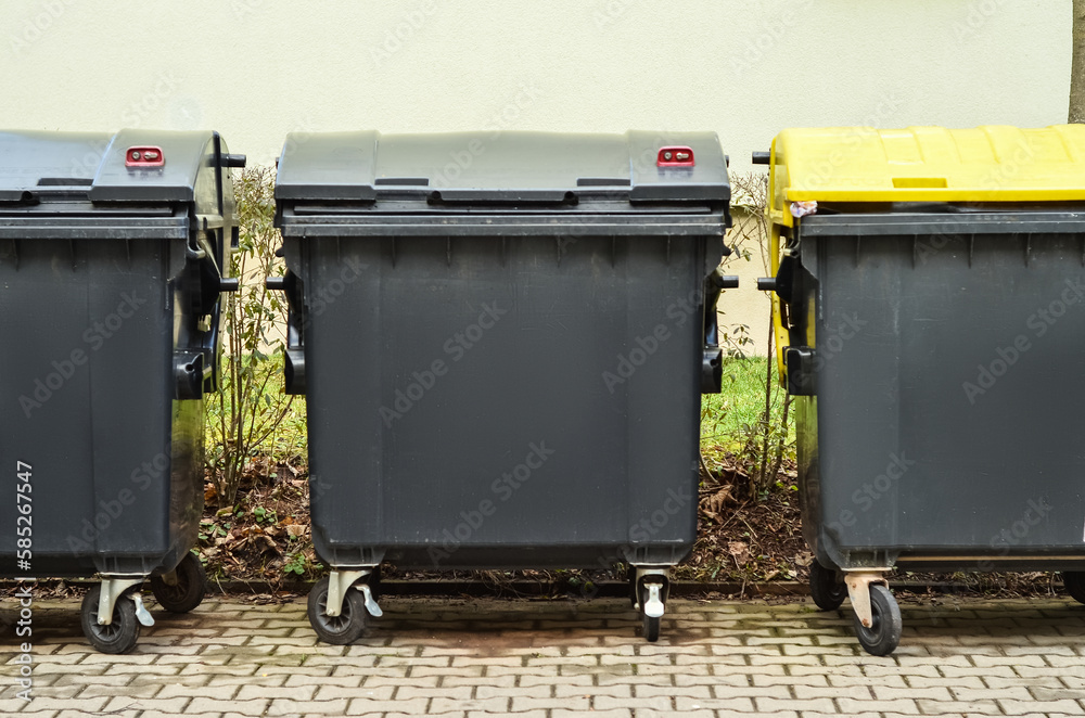 Garbage containers on city street