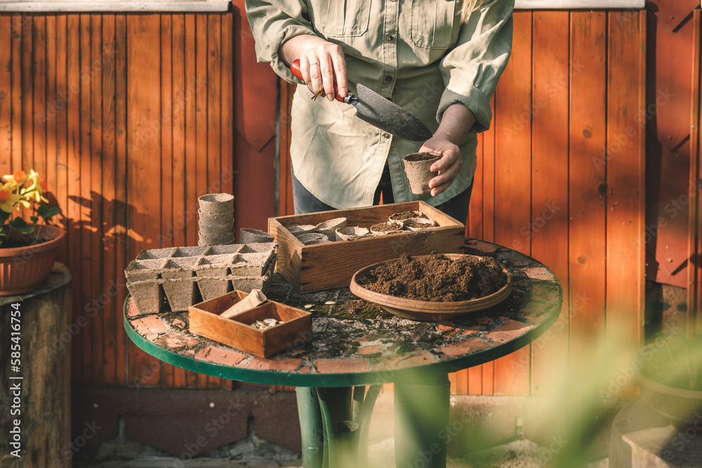 Woman with shovel putting soil and compost into biodegradable peat pots. Planting and sowing at spri