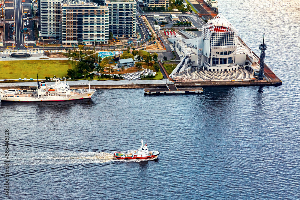 Aerial view of boats in Odaiba Harbor in Tokyo, Japan