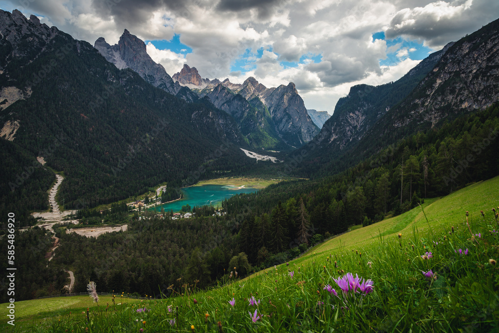 Alpine scenery with flowery hills and beautiful lake, Dolomites, Italy