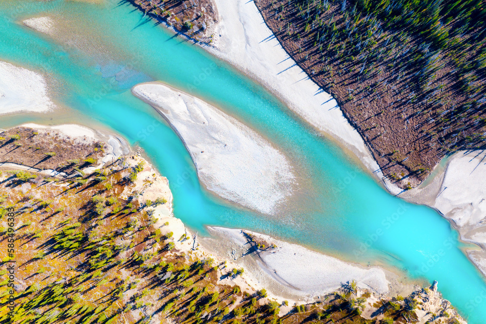 Drone view of the river and forest in the glacier valley. View of the moraines. Landscape from the a