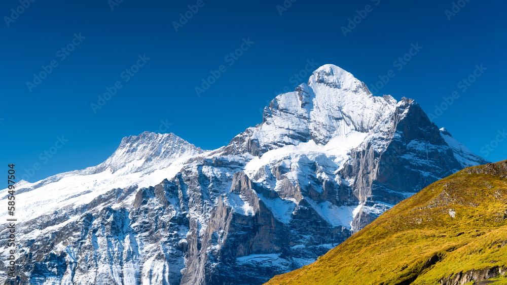 Landscape in a high mountain region. Mountains with high rocks and snow on the tops. A field on the 