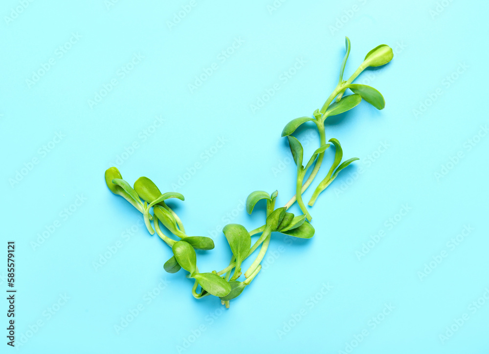 Check mark made of sprouts on blue background