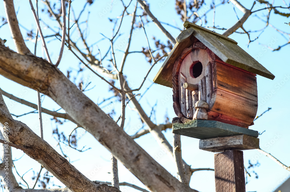 View of wooden bird house outdoors