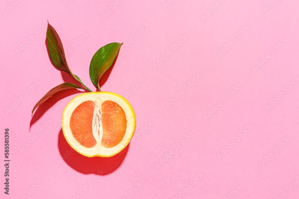 Half of ripe grapefruit and plant branch on pink background