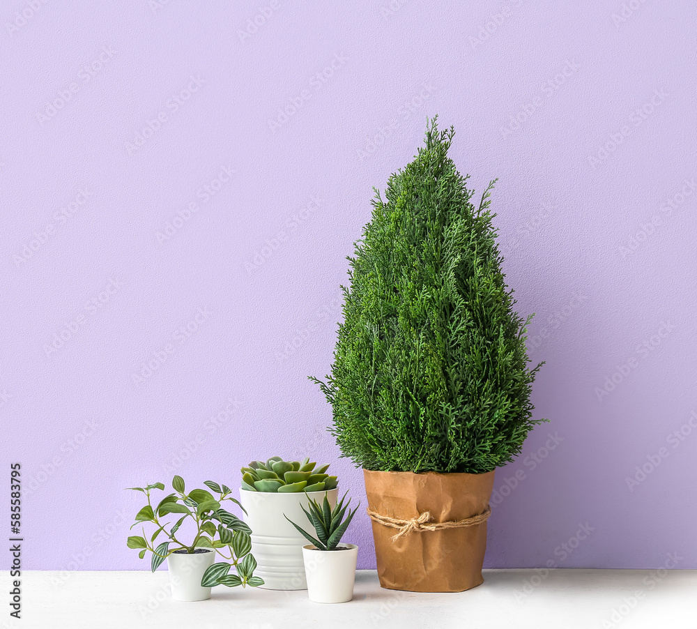 Artificial plants on table near lilac wall