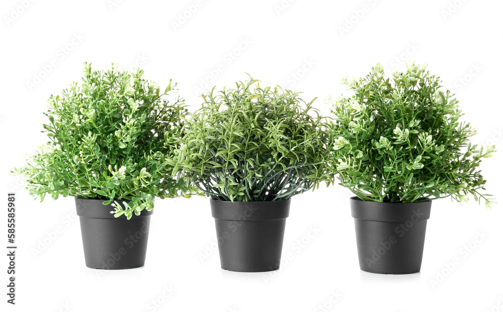 Artificial houseplants on white background