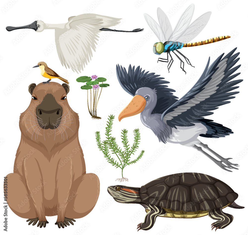 Various Wetland Animals Collection