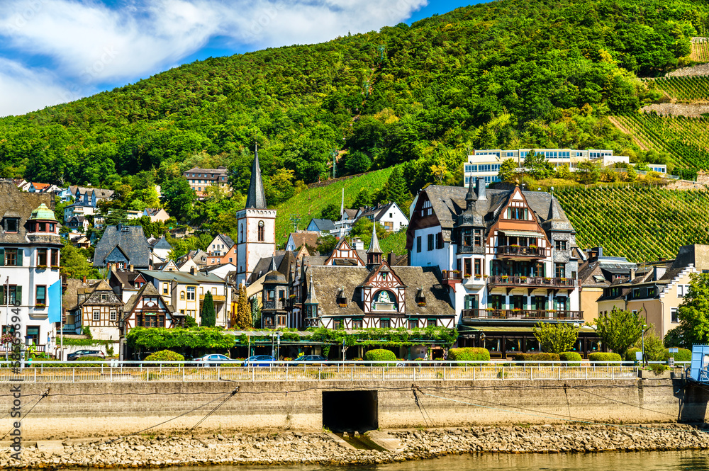 Ruedesheim am Rhein town on the Rhine river in Germany