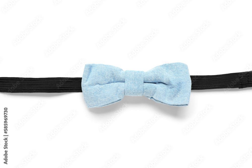 Blue bow tie on white background