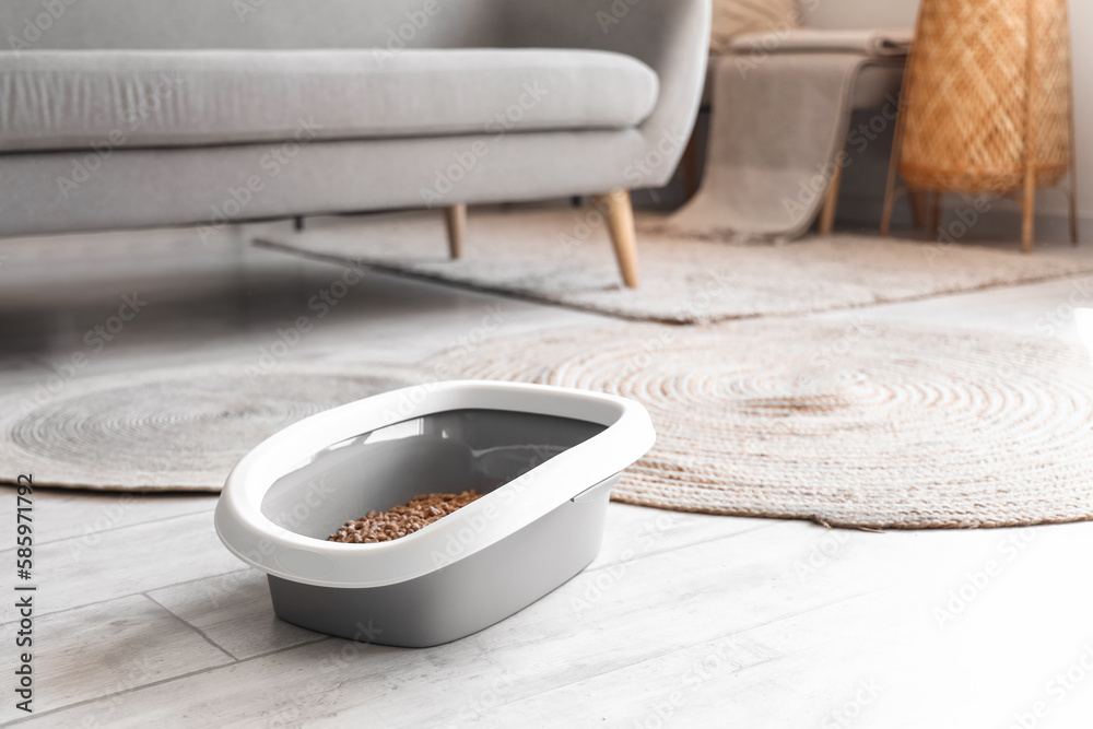 Litter box for cat on floor in room