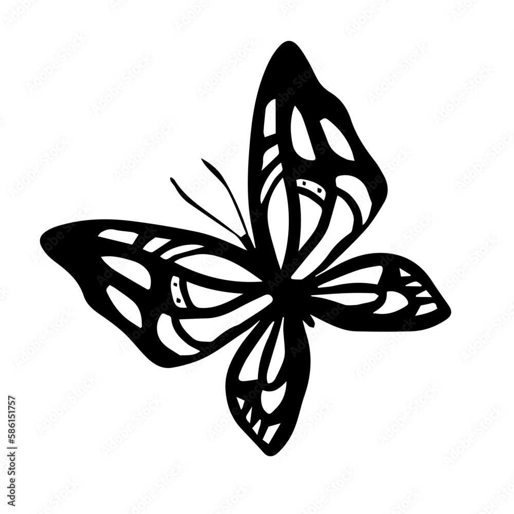 Vector illustration of beautiful butterfly with wing on white color background. Flat line art style 