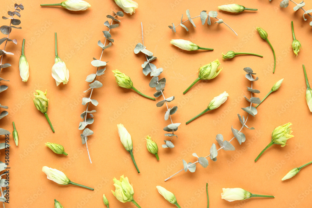 Composition with beautiful eustoma flowers and eucalyptus branches on color background