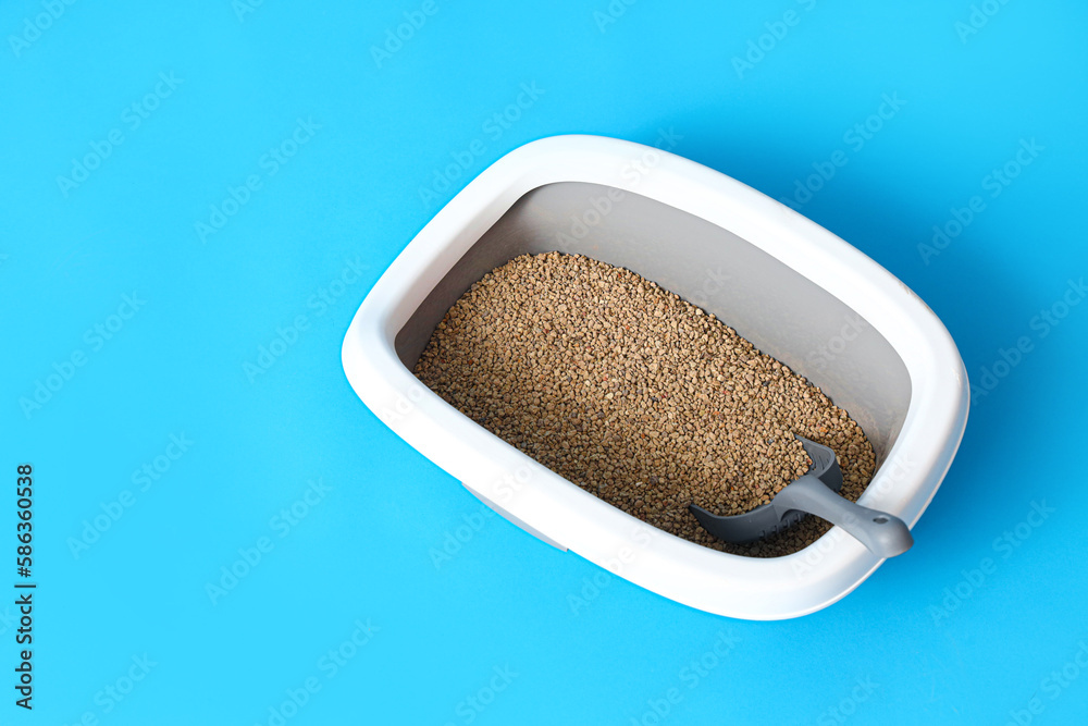 Litter box for cat on blue background