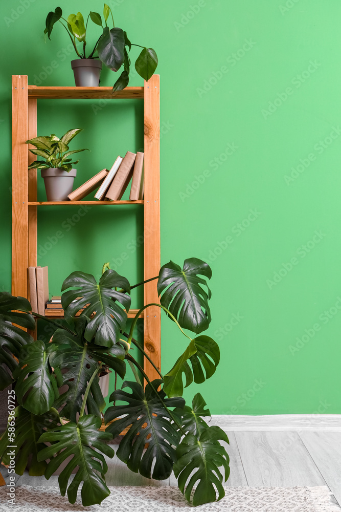 Interior of modern room with shelf unit and houseplants near green wall