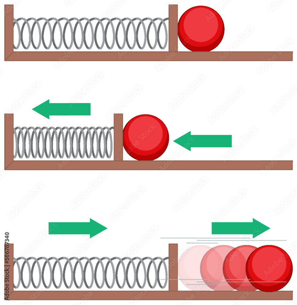 Spring motion science experiments