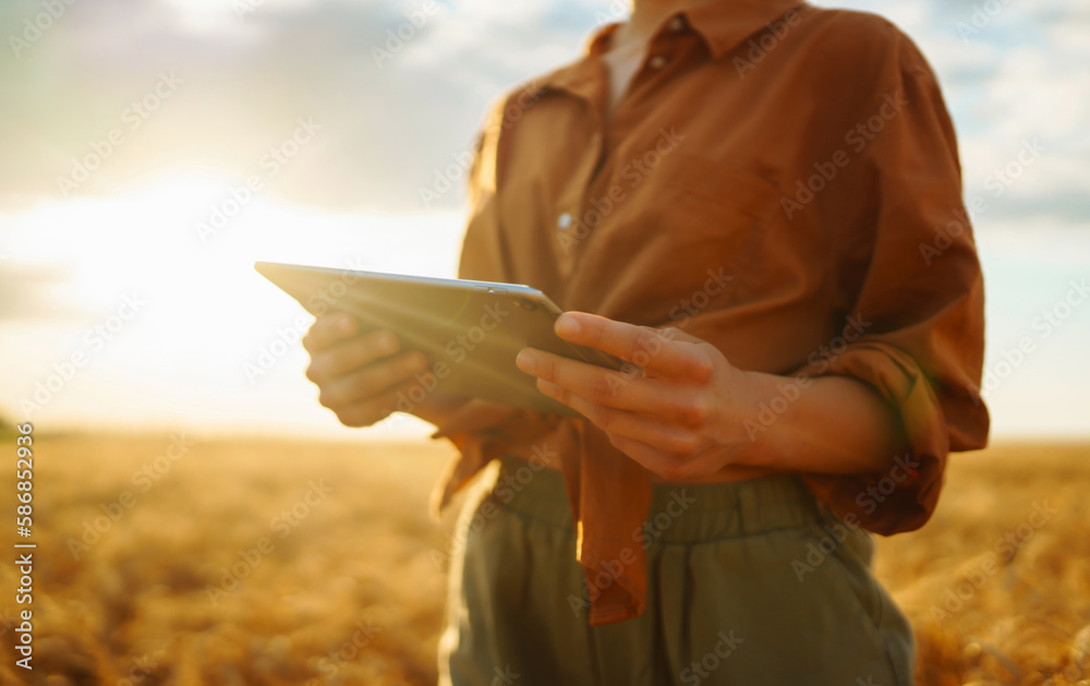 Tablet in the hands of a woman farmer. Smart farm. Idea of a rich harvest.