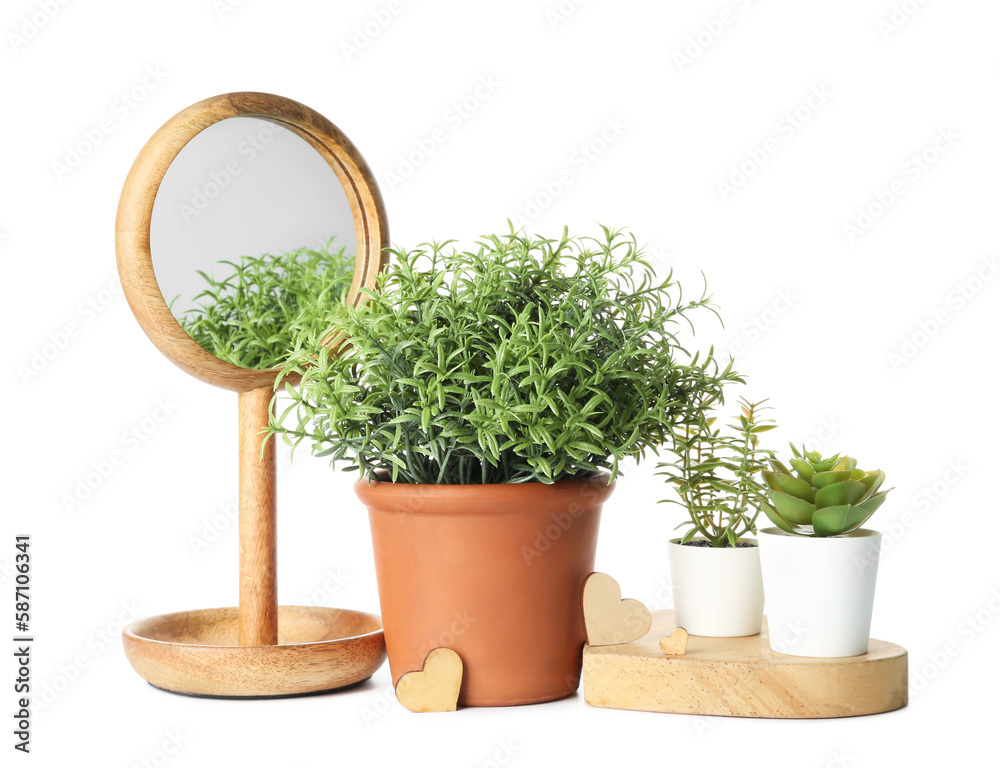 Artificial houseplant, succulents, mirror and wooden hearts on white background