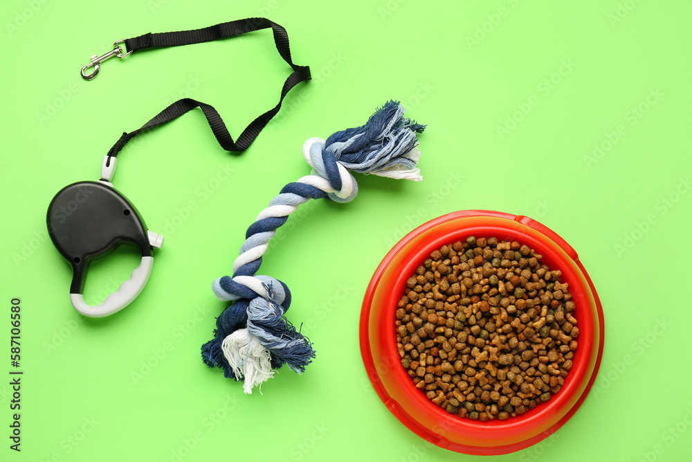 Bowl of dry pet food, toy and leash on green background